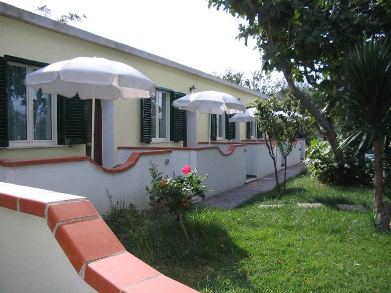 Albergo Villa Hibiscus Forio di Ischia المظهر الخارجي الصورة
