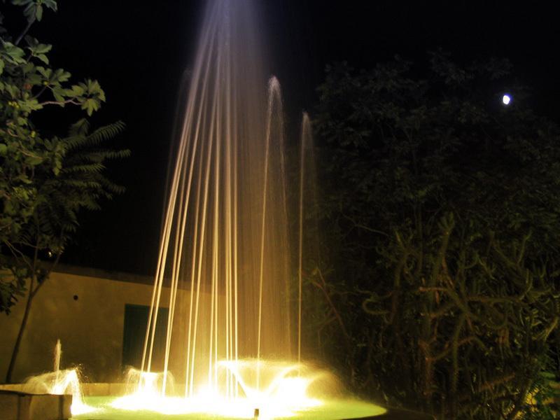 Albergo Villa Hibiscus Forio di Ischia المظهر الخارجي الصورة